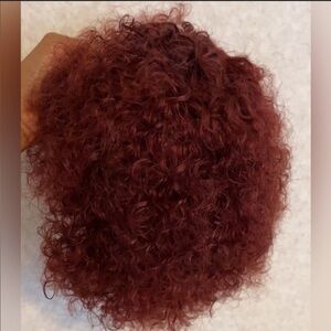 Short Curly Human Hair Wig
